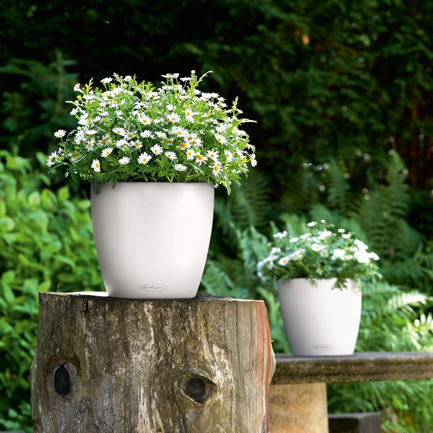 Lechuza Planter