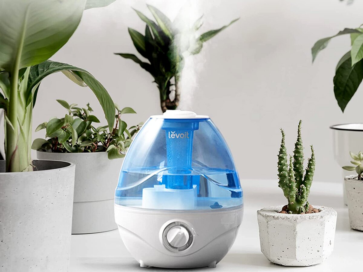 Humidifier next to plant